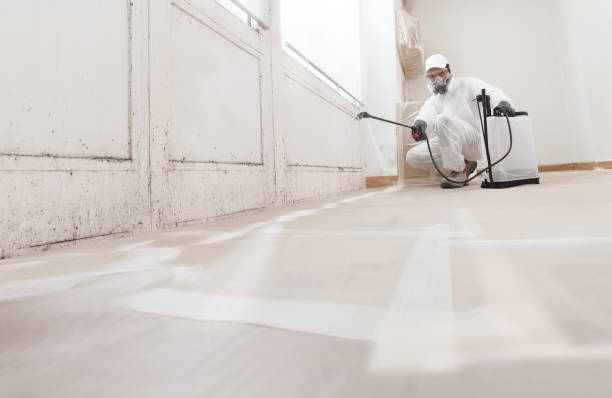 24/7 Emergency Attic Mold Removal experts in Plainfield, NJ